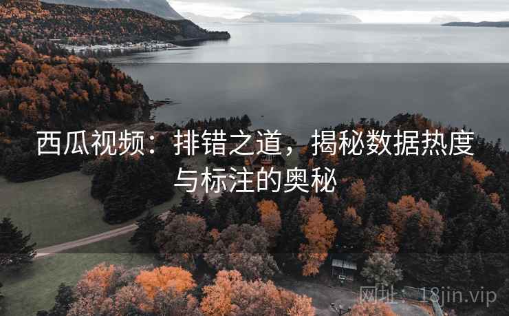 西瓜视频：排错之道，揭秘数据热度与标注的奥秘